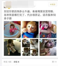 野生動物網絡交易增至四成 愛地球請從拒絕殺戮開始