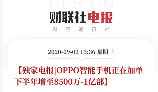 綠廠q2海外市場表現 強勢 ,下半年有望拿下全球第四