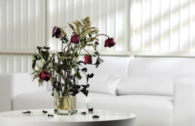 智能云灌溉花盆京東眾籌大獲成功 一鍵“云養(yǎng)花”時(shí)代來臨