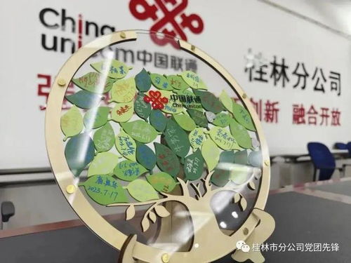 45名應屆畢業生,榮幸加盟山水甲天下的桂林聯通