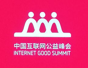 微愛(ài)公益 受邀出席2019中國(guó)互聯(lián)網(wǎng)公益峰會(huì) 公益資水 益陽(yáng)